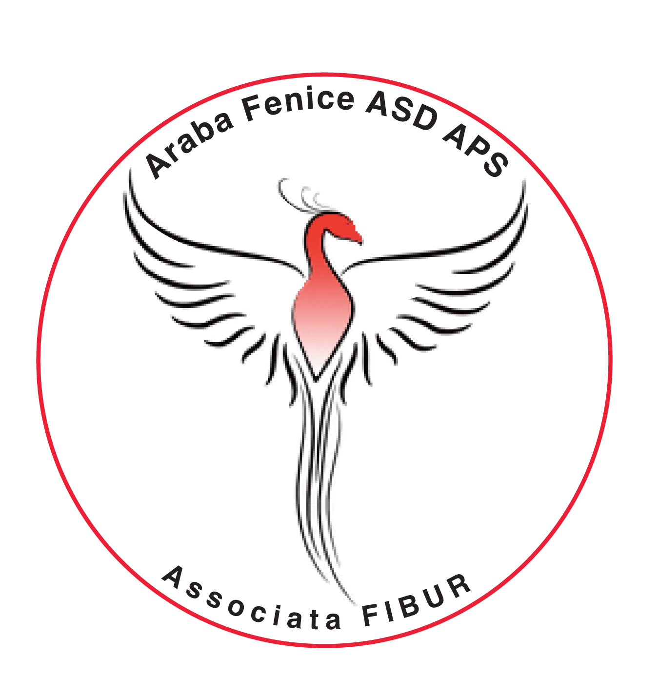 COME CONTATTARCI Araba Fenice COME CONTATTARCI Araba Fenice